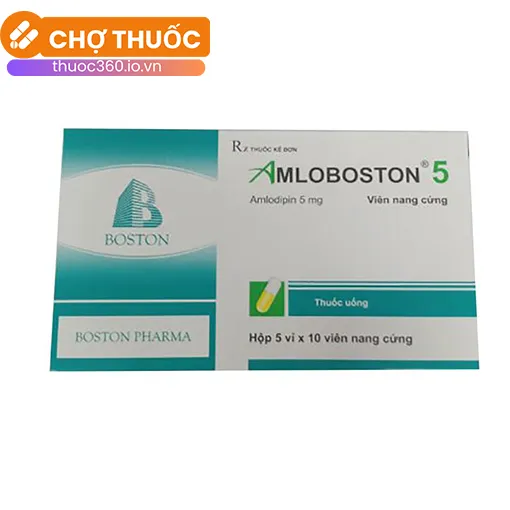 Amloboston 5