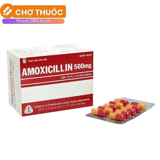 Amoxicillin 500mg Mekophar