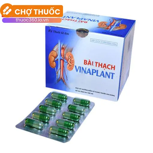 Bài Thạch Vinaplant