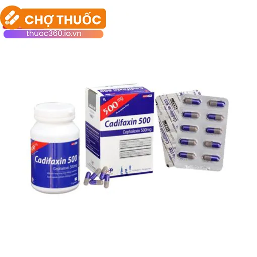 Cadifaxin 500