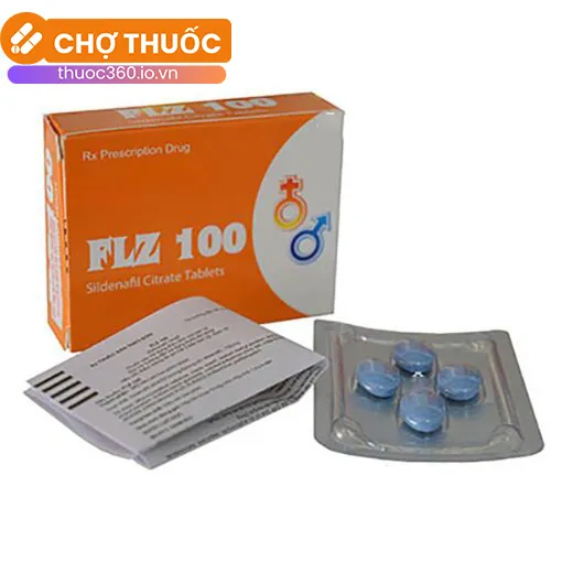 FLZ 100