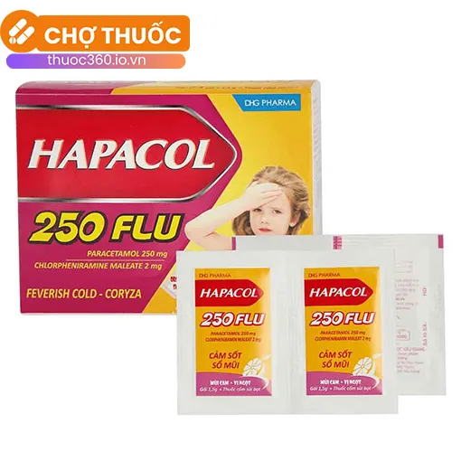 Hapacol 250 Flu