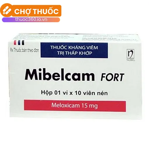 Mibelcam Fort