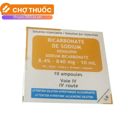 Natri Bicarbonate Renaudin 8,4%